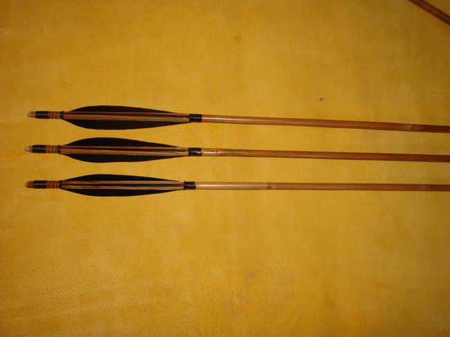 竹箭-黑色火鸡羽